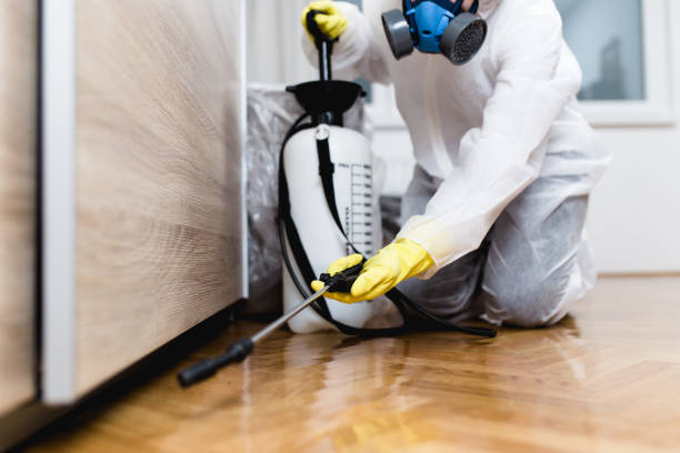 Best Pest Control Treatment  in Woodmoor, CO
