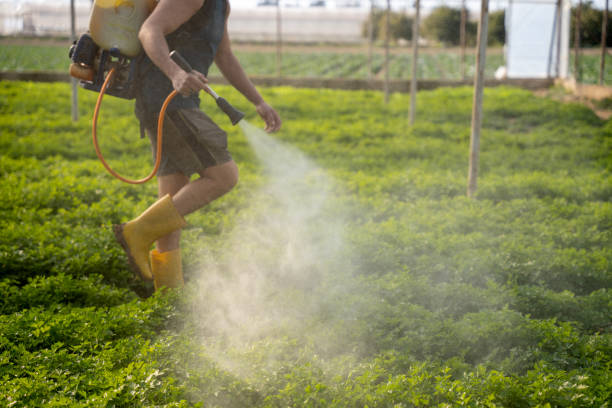 Best Pest Control for Businesses  in Woodmoor, CO