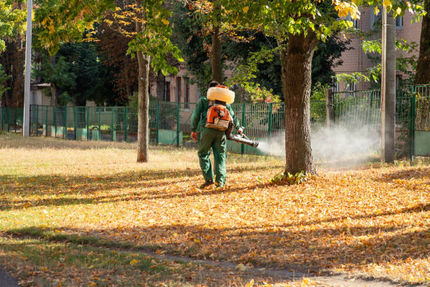 Best Best Pest Control Companies  in Woodmoor, CO