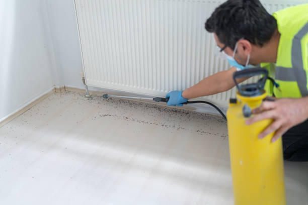 Best Pest Inspection Near Me  in Woodmoor, CO